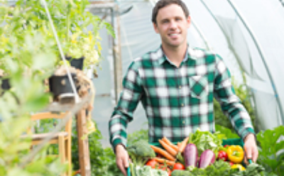 Heimische Landwirtschaft