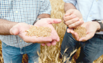 Heimische Landwirtschaft